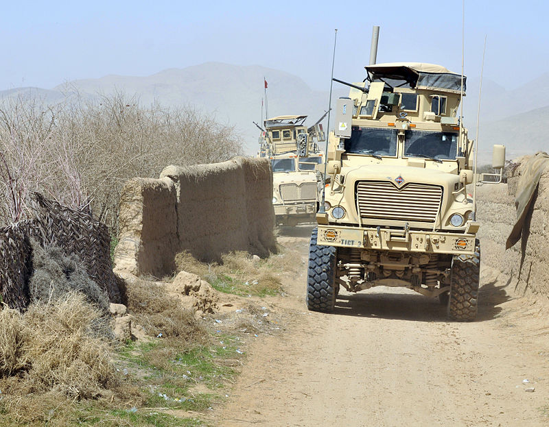 InternationalMaxxProPlus